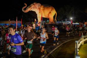 BIB: 
                            <button type="button" onclick="openModal(26552333)" class="btn btn-primary btn-sm float-right btn-popup" data-toggle="modal" data-target=".modal-high-quality">
                        <i class="fas fa-shopping-cart"></i> Add to Cart
                    </button>
                                            <button type="button" onclick="isThisMe(26552333, true)" class="btn btn-success btn-sm float-right btn-popup btn-isme hidden" data-toggle="tooltip" data-placement="bottom" title="นี่คือรูปของคุณใช่ไหม คลิกที่นี่เพื่อเอาเข้าอัลบั้ม">
                        <i class="fas fa-plus"></i> Add to album
                    </button>
                    <button type="button" onclick="isThisMe(26552333, false)" class="btn btn-warning btn-sm float-right btn-popup btn-isnotme hidden">
                        <i class="fas fa-ban"></i> Remove from album
                    </button>